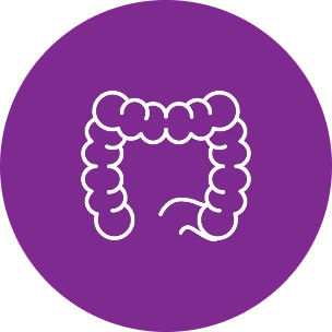 Colorectal Cancer Immunotherapy